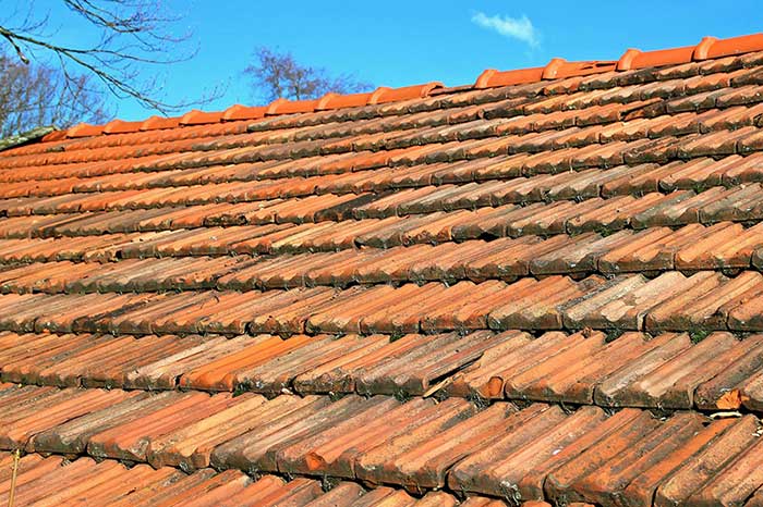 Should You Get Tile Roofing?
