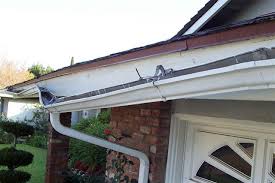 home repairing roof