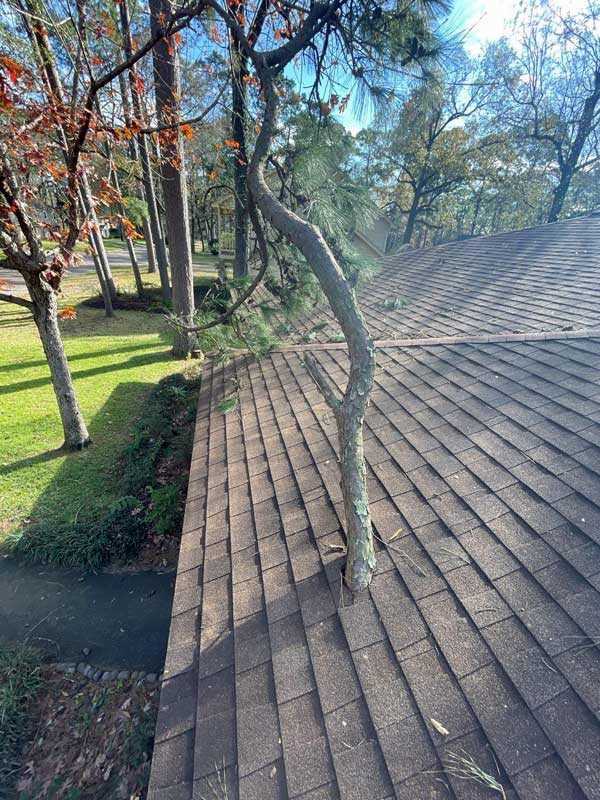 High Winds Can Damage A Roof In A Variety Of Ways