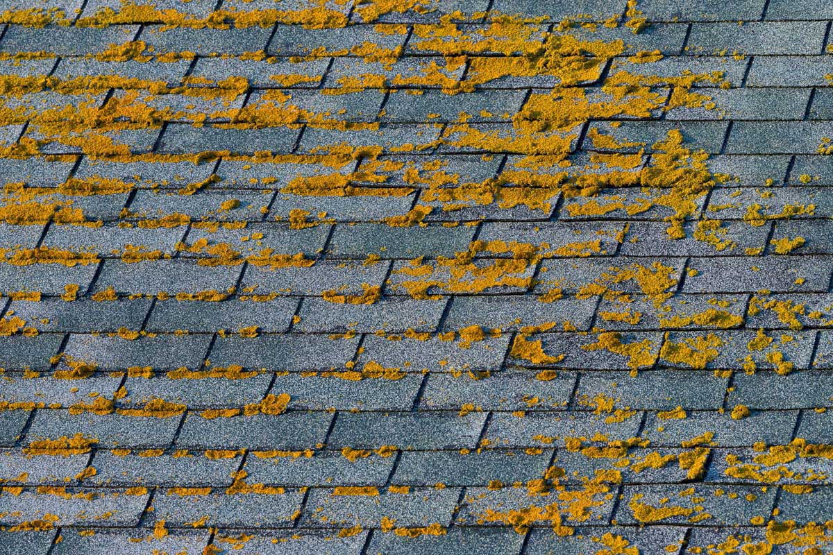 Roofs in San Antonio are subject to wind and hail storms.