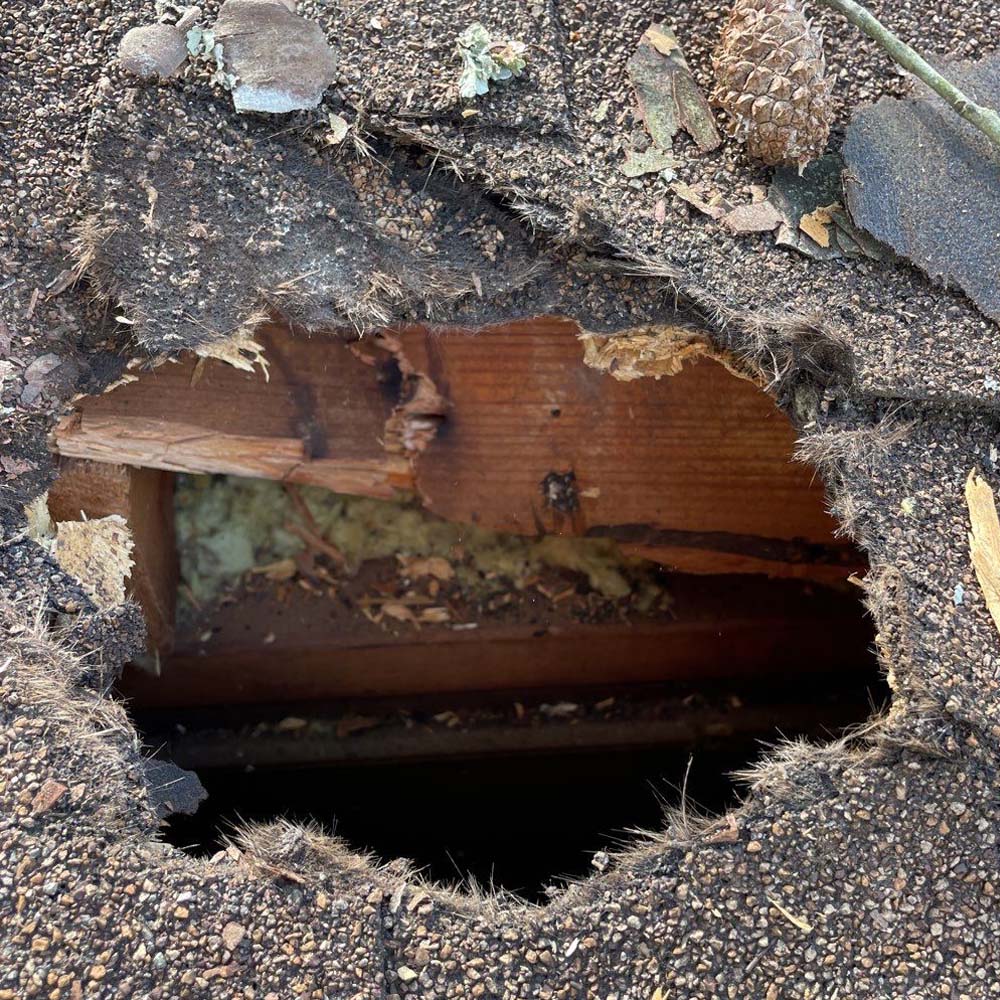 Roof Damage Caused By Wind-Driven Debris