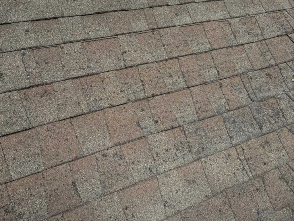 This roof was battered by a hail storm. The shingles should be replaced.